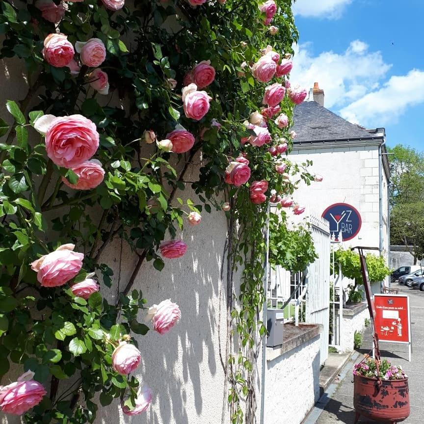 Logis Hotel Restaurant Relais De La Mothe Yzeures-sur-Creuse Exterior foto